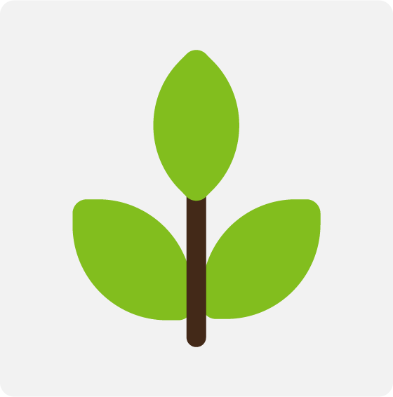 Kopfstecklinge Kopfstecklinge